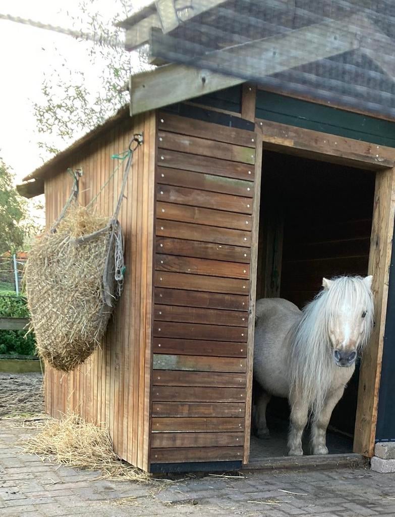 24/7 pony plek vrij + evt. weidegang (paddock/uitloopstal), Dieren en Toebehoren, Stalling en Weidegang, Stalling, 1 paard of pony