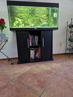 Juwel aquarium  180, Ophalen, Zo goed als nieuw, Gevuld zoetwateraquarium