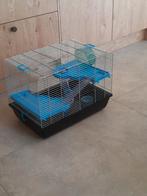 Hamsterhok kooi, Dieren en Toebehoren, Knaagdieren en Konijnen | Hokken en Kooien, Gebruikt, Minder dan 75 cm, Fret, Hok