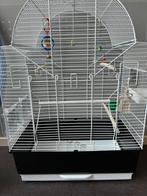 Vogelkooien en toebehoren. Zie tekst., Ophalen, Gebruikt, Hout, Vogelkooi