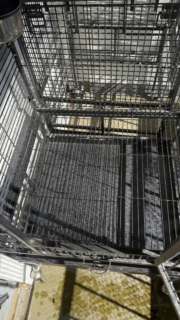 Vogelvolière (A), Dieren en Toebehoren, Vogels | Hokken en Kooien, Ophalen, Zo goed als nieuw, Metaal, Vogelkooi