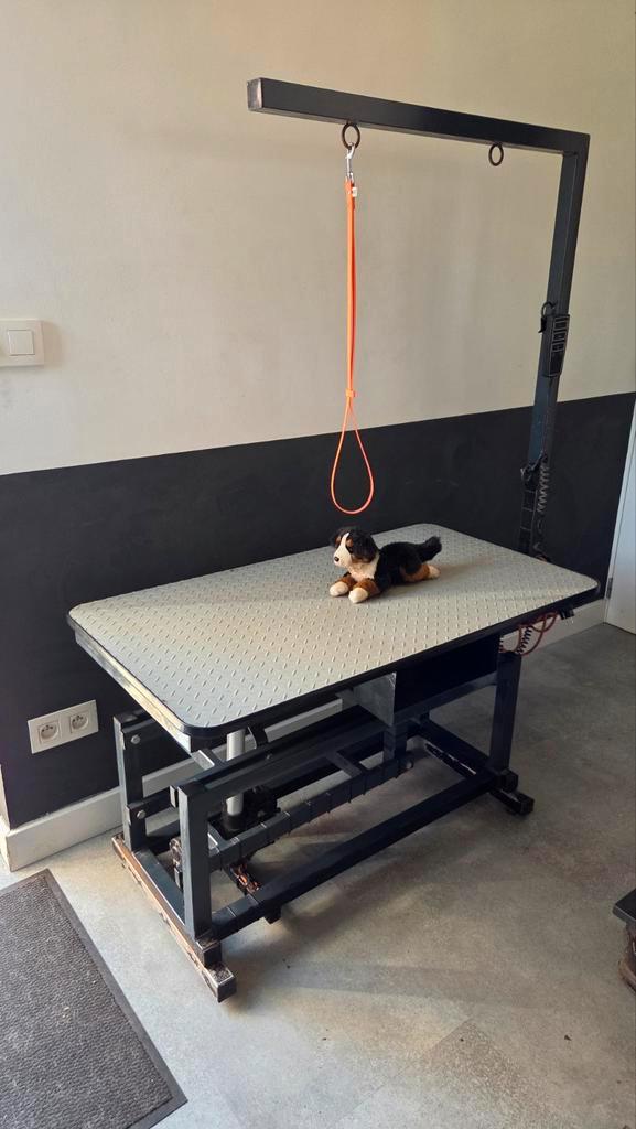 Trimtafel, Dieren en Toebehoren, Honden-accessoires, Gebruikt, Ophalen