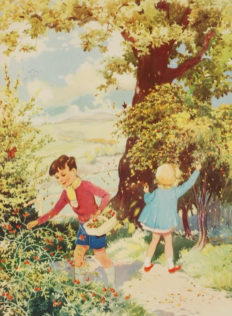 Hips and haws - Antieke schoolposter (1938), Verzenden, Natuur en Biologie
