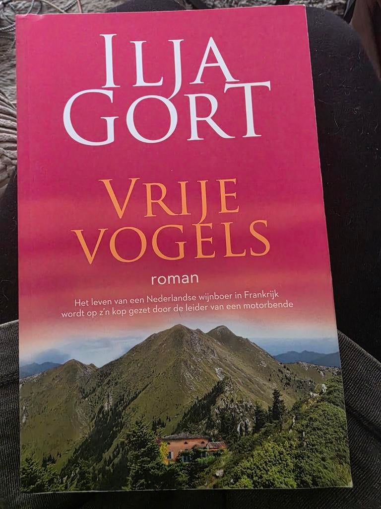 Ilja gort Vrije vogels, Ophalen of Verzenden, Zo goed als nieuw