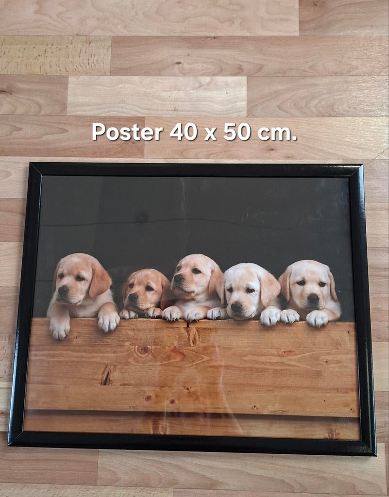 Zwarte lijst met Puppies, Ophalen, Hout, Minder dan 50 cm, Minder dan 50 cm