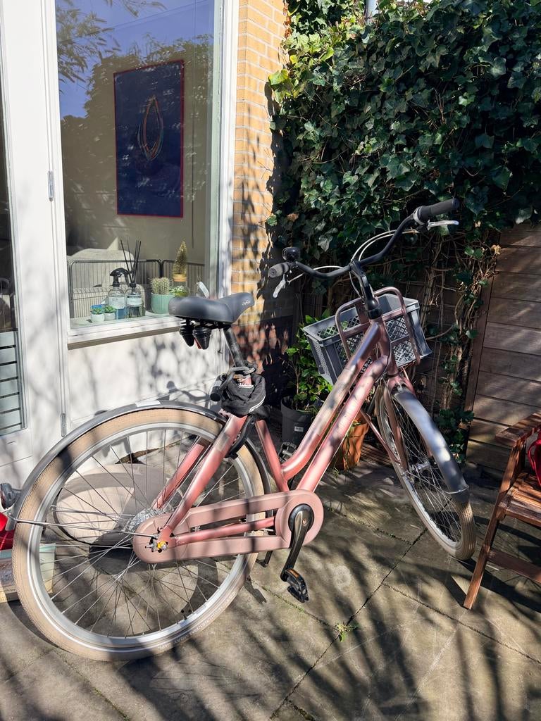 Cortina Crush damesfiets – 28 inch – met krat - rosé, Versnellingen, Ophalen, Overige merken, 53 tot 56 cm