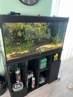 Juwel rio 350 compleet, Ophalen, Zo goed als nieuw, Gevuld zoetwateraquarium