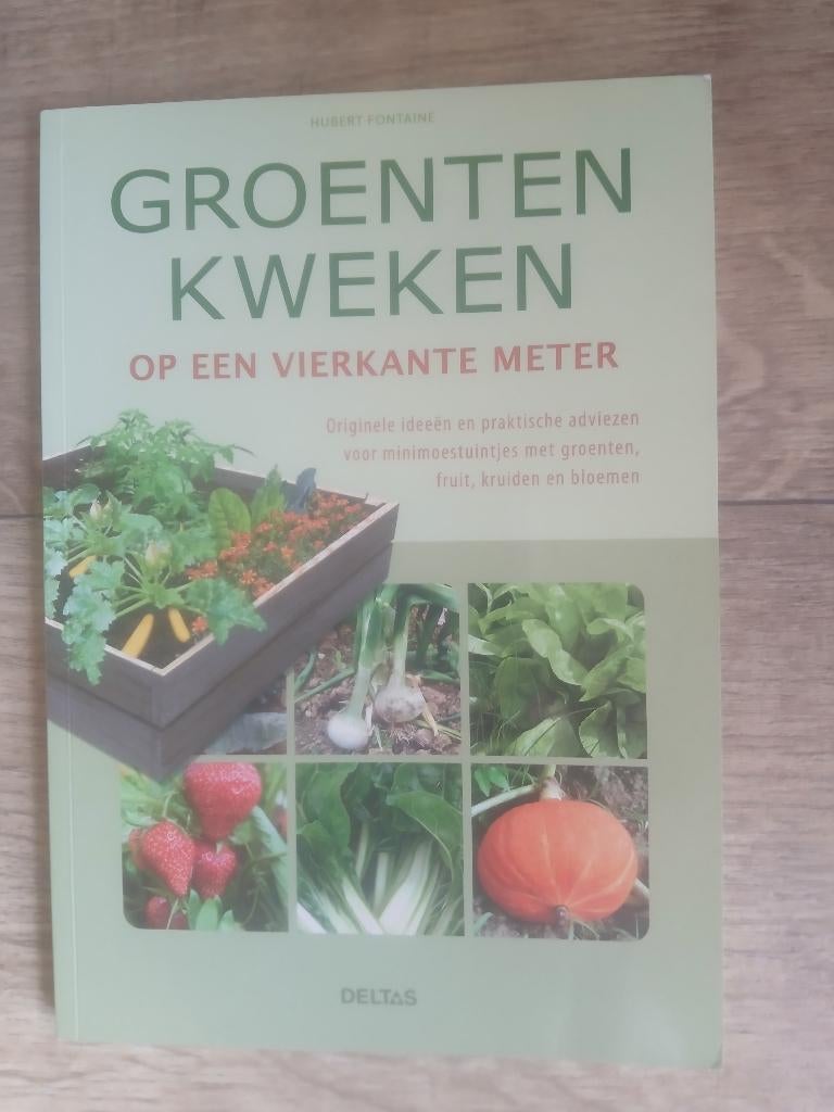 Boek - Groenten kweken op een vierkante meter, Ophalen of Verzenden, Zo goed als nieuw, Moestuin
