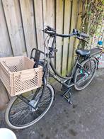 Cortina E-u4 transport, Ophalen, Gebruikt, 47 tot 51 cm, Cortina