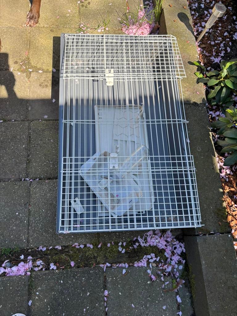 Cavia / konijnenhok, Dieren en Toebehoren, Minder dan 60 cm, 110 cm of meer, Ophalen of Verzenden, Zo goed als nieuw