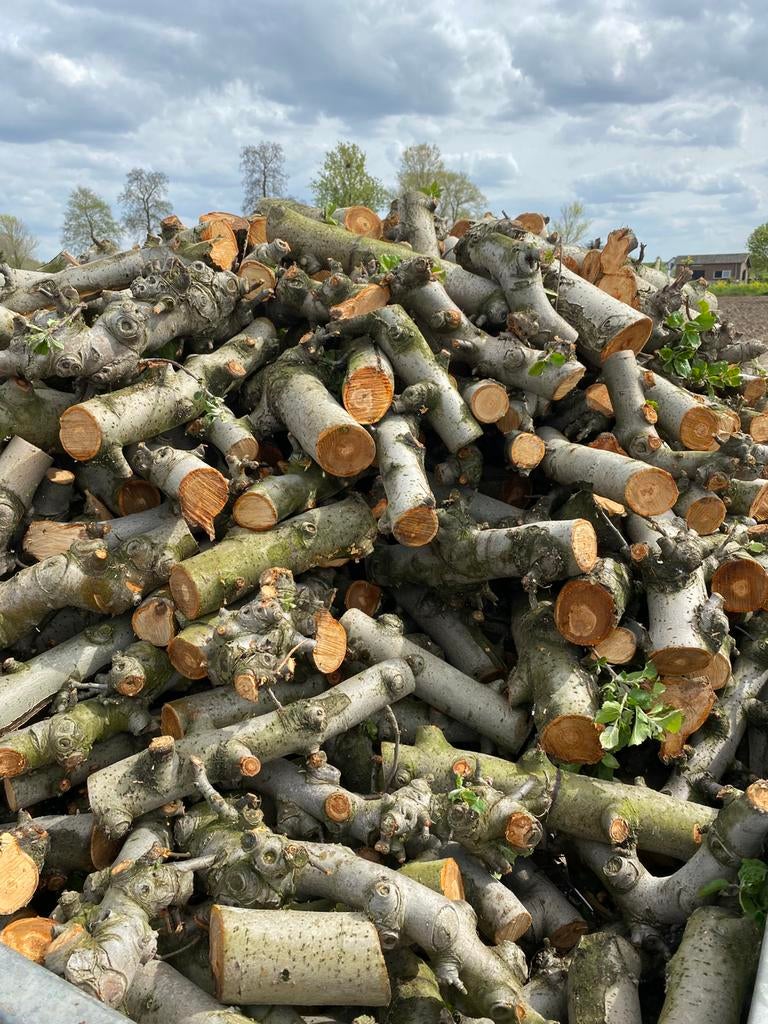 Openhaard hout Fruitbomen, Tuin en Terras, Haardhout, Minder dan 3 m³, Ophalen of Verzenden, Stammen