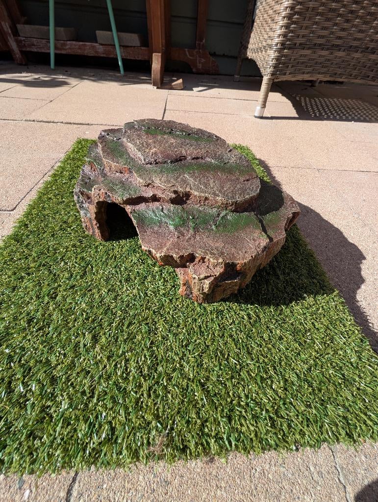 Merkloos hide reptiel, Dieren en Toebehoren, Ophalen of Verzenden, Gebruikt, Overige typen