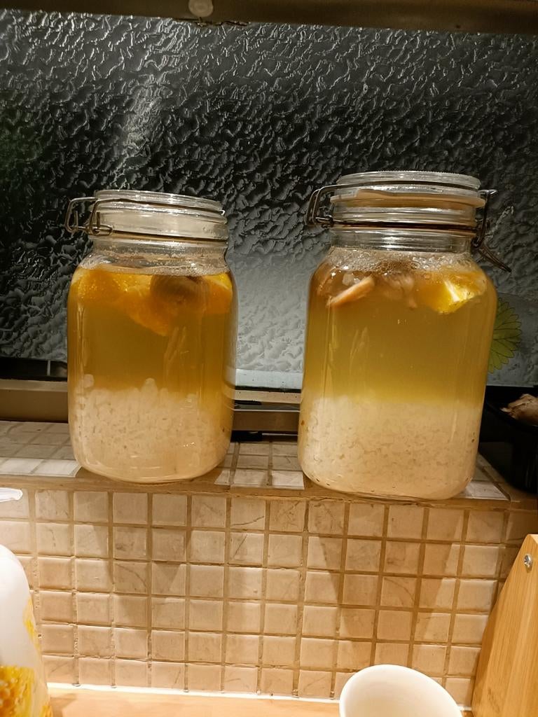 Water Kefir korrels,, Ophalen
