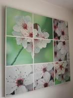 Gratis canvas doek!, Ophalen of Verzenden, Gebruikt