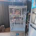 Papegaai kooi vogel kooi, Dieren en Toebehoren, Vogels | Hokken en Kooien, Ophalen of Verzenden, Zo goed als nieuw, Metaal, Vogelkooi