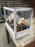 Ferplast hamsterhok met speelgoed voor de hamster., Dieren en Toebehoren, Knaagdieren en Konijnen | Hokken en Kooien, Minder dan 60 cm