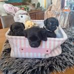 Retromops, 33 - 40 uur, Overige vormen