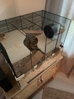 Hamster met verbliif, Dieren en Toebehoren, Kooi, Minder dan 75 cm, Zo goed als nieuw, Hamster