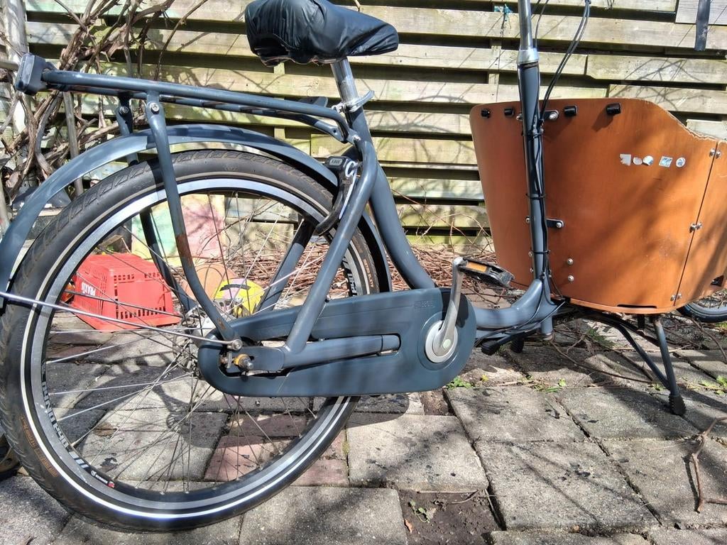 Elektrische Bakfiets voor kids of hond 7 versnellingen, Fietsen en Brommers, Fietsen | Bakfietsen, Gebruikt, Goederen, Elektrisch