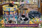 Super leuke manden voor jouw huisdier, Dieren en Toebehoren, Kattenmanden, Verzenden, Nieuw, Katoen