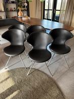 Tonon 6 x concept 902.01 eetkamerstoelen, Ophalen, Overige materialen, Zwart, Zo goed als nieuw