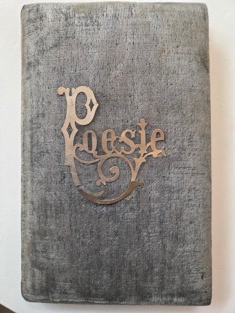 Antiek Poëziealbum 1891 met Plaatjes - Fluweel, Ophalen of Verzenden