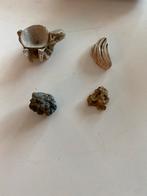 Diverse verzameling fossielen, mineralen en schelpen, Verzamelen, Ophalen of Verzenden, Fossiel