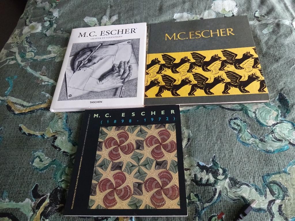 M.C Escher boeken, Ophalen of Verzenden, Gelezen, Overige onderwerpen