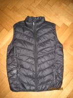 Blue Saks Fifthe Avenue zwarte bodywarmer maat L, Maat 52/54 (L), Zwart, Ophalen of Verzenden, Blue Saks Fifthe Avenue