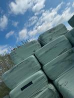 Vierkante balen voordroog weidehooi in folie paardenhooi, Dieren en Toebehoren, Dierenvoeding, Ophalen, Vee