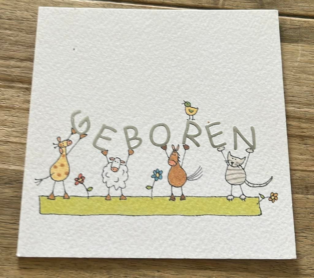 Zutphen,,2005:::Niels, Ophalen of Verzenden, 2000 tot heden