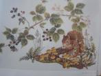 borduuren patroonen EEKHOORN WEZEL VOS wolf haas olifant, Ophalen of Verzenden, Zo goed als nieuw, Handborduren, Patroon