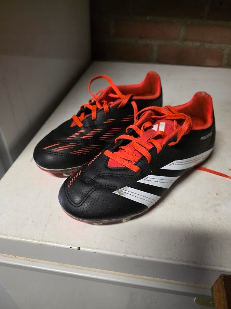 Adidas Predator voetbalschoenen maat 35,5, Sport en Fitness, Voetbal, Maat XS of kleiner, Ophalen, Gebruikt, Schoenen