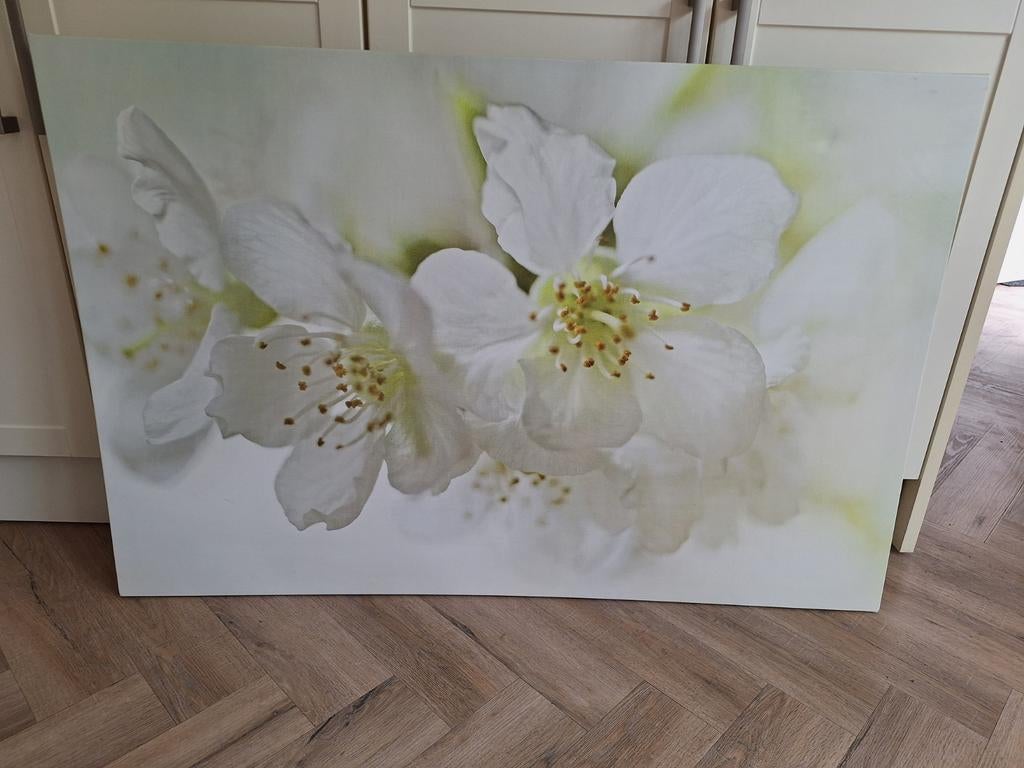 Groot canvas doek - Bloesem - 80x120 cm, Ophalen, 125 cm of meer, Schilderij, 75 cm of meer