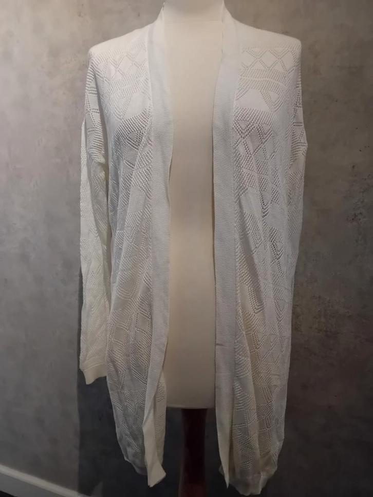 > Mooi vest! z.g.a.n., Kleding | Dames, Truien en Vesten, Zo goed als nieuw, Maat 42/44 (L), Wit, Ophalen of Verzenden