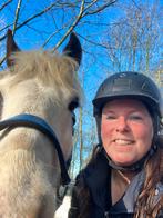 Pensionplek gezocht omgeving pijnacker/nootdorp, Dieren en Toebehoren, Stalling en Weidegang, Weidegang, 1 paard of pony