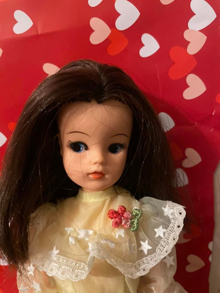 vintage Sindy Pedigree met de donkere harrn, Verzamelen, Ophalen of Verzenden, Zo goed als nieuw, Pop