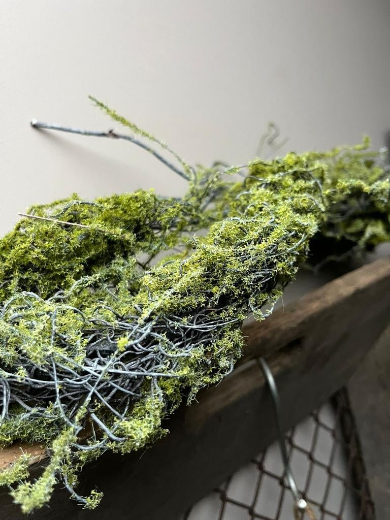 Kunst mos twijg tak sober landelijk, Huis en Inrichting, Nieuw, Ophalen of Verzenden, X, X