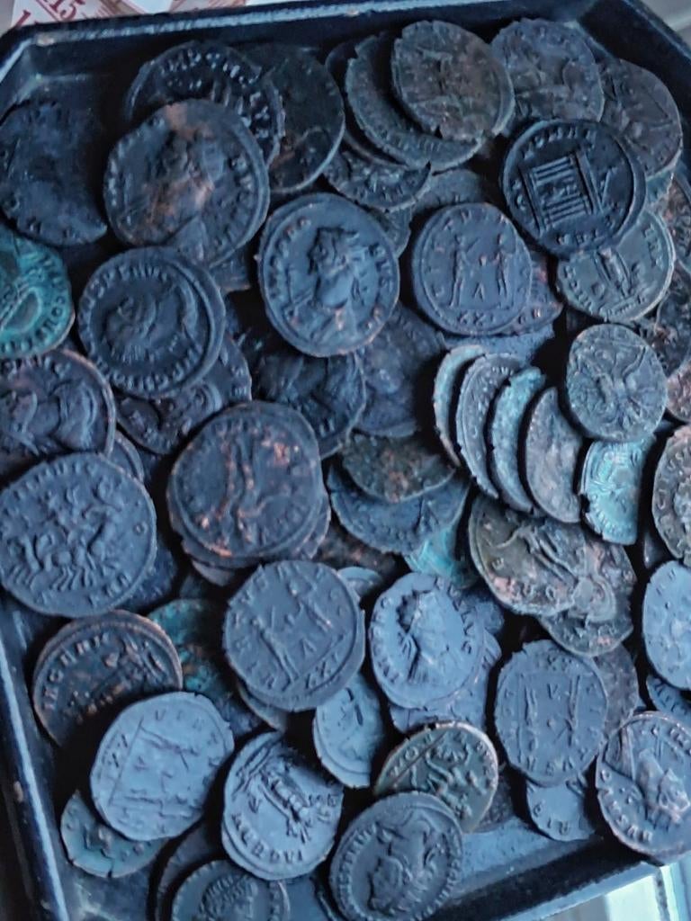 50 Romeinse munten, Vóór koninkrijk, Setje, Geboorte of Huwelijk, Overige waardes