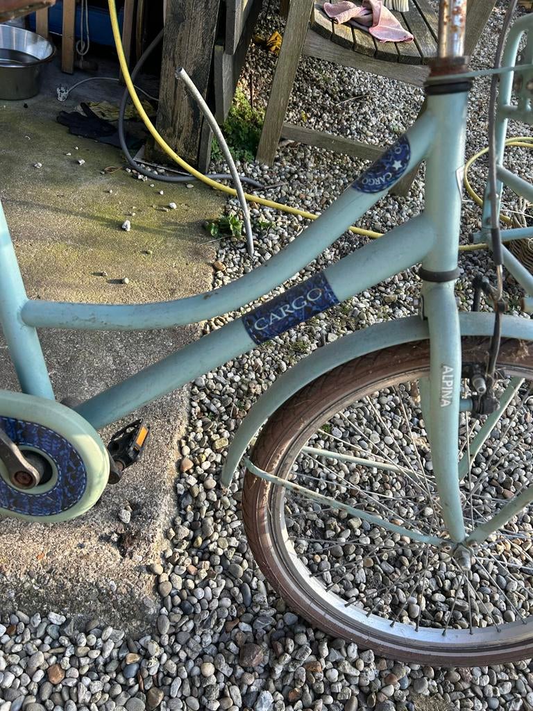 Kinderfiets alpina cargo, Ophalen, Gebruikt, 20 inch of meer