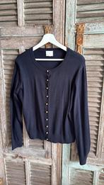 Prachtig gebreid knitted H&M vestje met gouden bolknopen XL, H&M, Blauw, Maat 42/44 (L), Ophalen of Verzenden