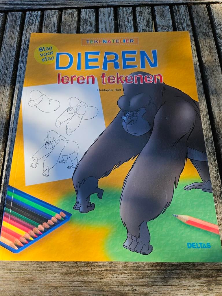 Stap voor stap Dieren leren tekenen - C Hart, Non-fictie, Ophalen of Verzenden, Zo goed als nieuw, C. Hart