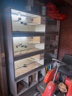 Broedhokken, Dieren en Toebehoren, Ophalen