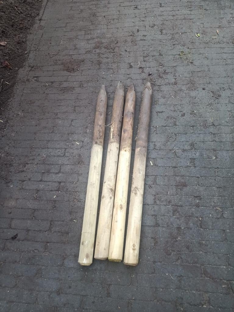 Houten paaltjes, Tuin en Terras, Ophalen of Verzenden, Hout, Minder dan 3 meter, 1 tot 2 meter