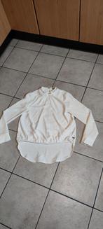 Erg mooie blous van van JOSH V maat S, Ophalen of Verzenden, Zo goed als nieuw, Maat 38/40 (M)