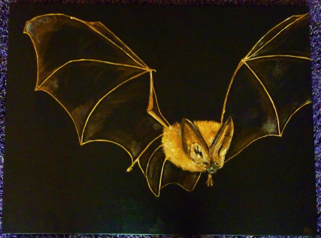 Vleermuis, Antiek en Kunst, Ophalen of Verzenden