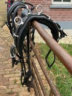 Enkelspan Ideal shetlander tuig ., zwart leer ., Dieren en Toebehoren, Ophalen of Verzenden, Gebruikt, Overige soorten