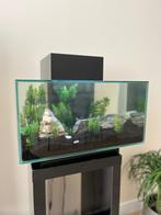 Aquarium Fluval edge, Ophalen, Gebruikt, Leeg aquarium