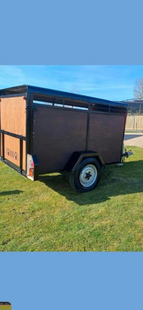 schapen en  nette kleinvee trailer, Dieren en Toebehoren