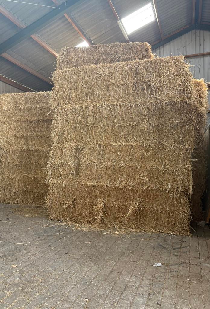 Tarwe stro te koop, Ophalen of Verzenden, Vee